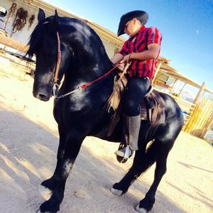 Meet your Posher, Jesse